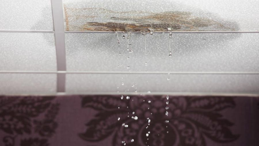 Water Restoration Companies near Me